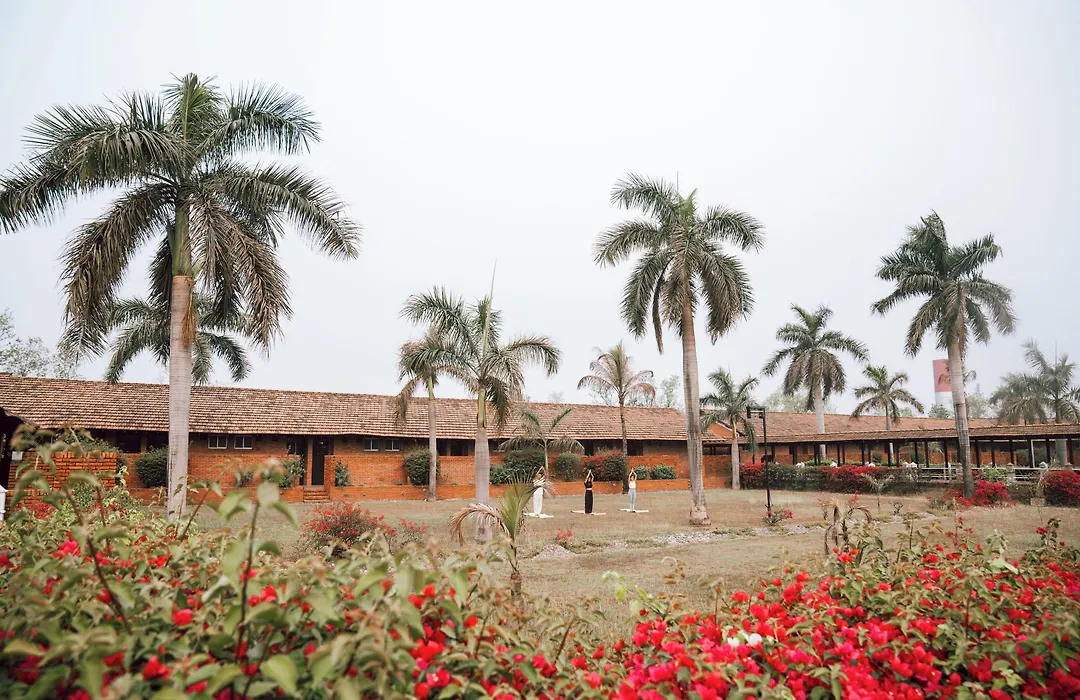 Hokke Lumbini-1