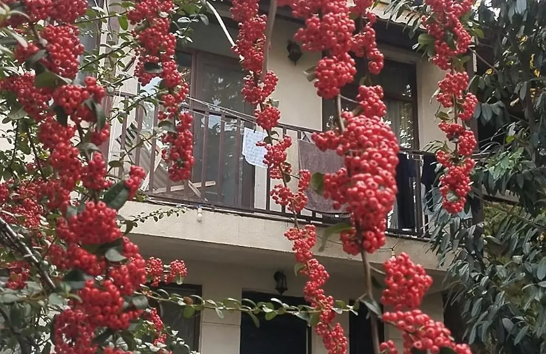 George Apartment-1