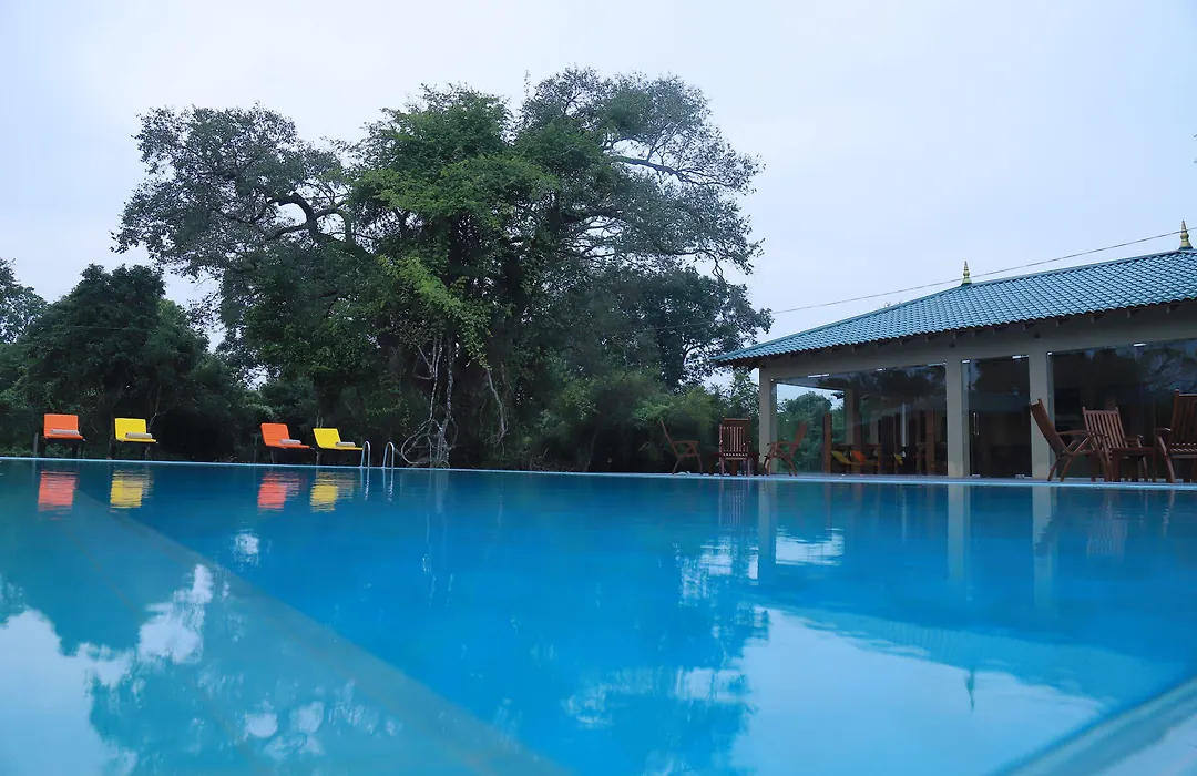 Sigiriya King'S Resort-1