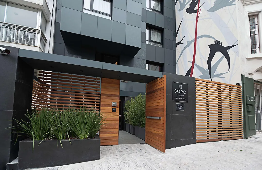 Soro Montevideo, Curio Collection By Hilton-1