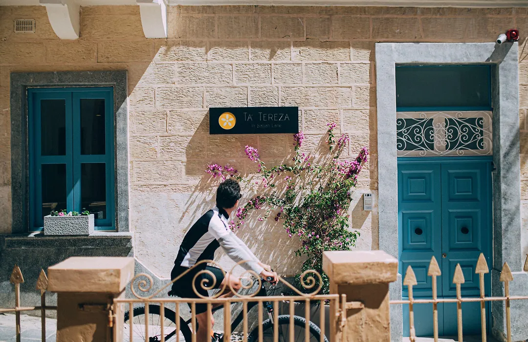Ta' Tereza In Manwel Dimech-1