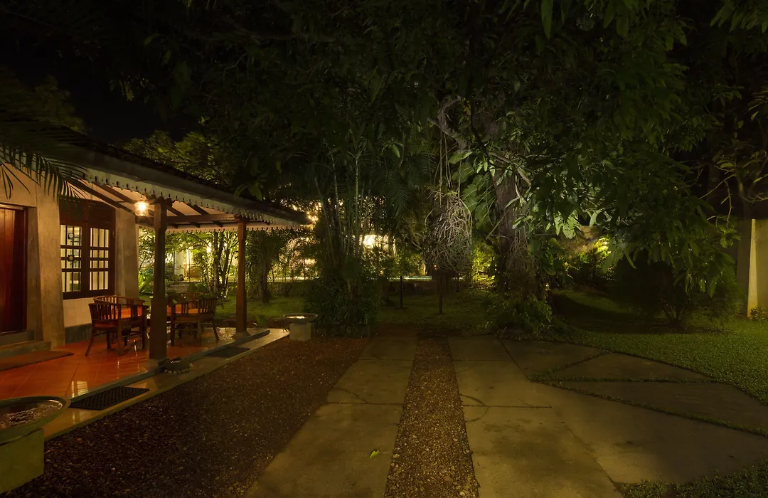 Bilin Tree House-1