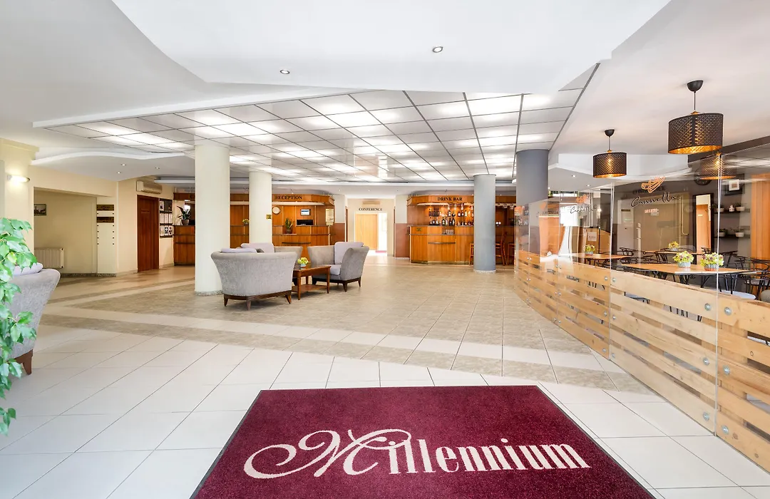 Hotel Millennium-1