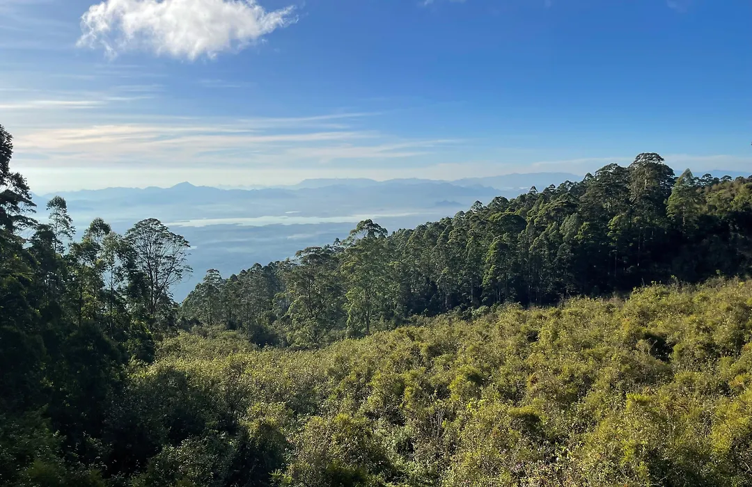 Dolphin Nose Retreat-1
