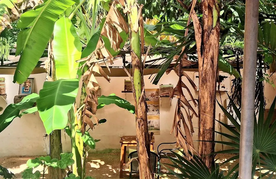 Casa Don Diego-1