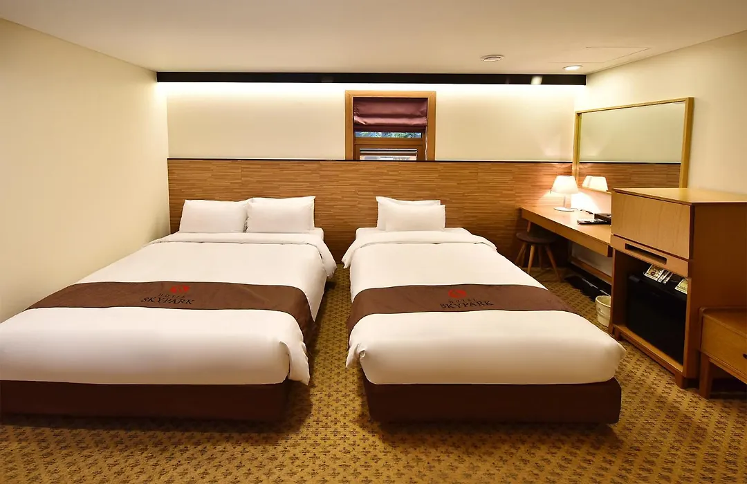 Hotel Skypark Myeongdong 1-1