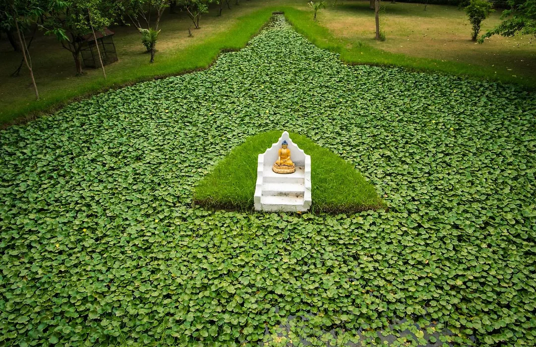 Buddha Maya Gardens By Kgh Group - Stay In The Sacred Heart Of Lumbini-1