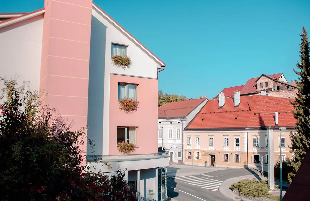 Hotel Bela Krajina-1