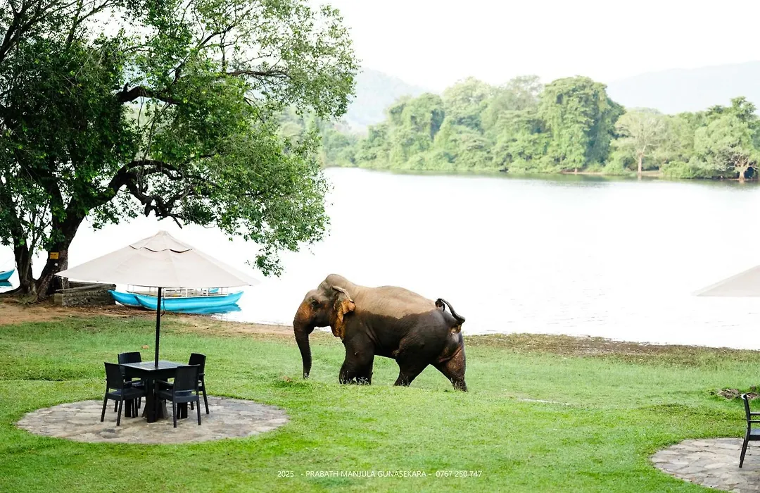 Mapakada Village - Wild Trails & Lake Retreat - Mahiyanganaya-1