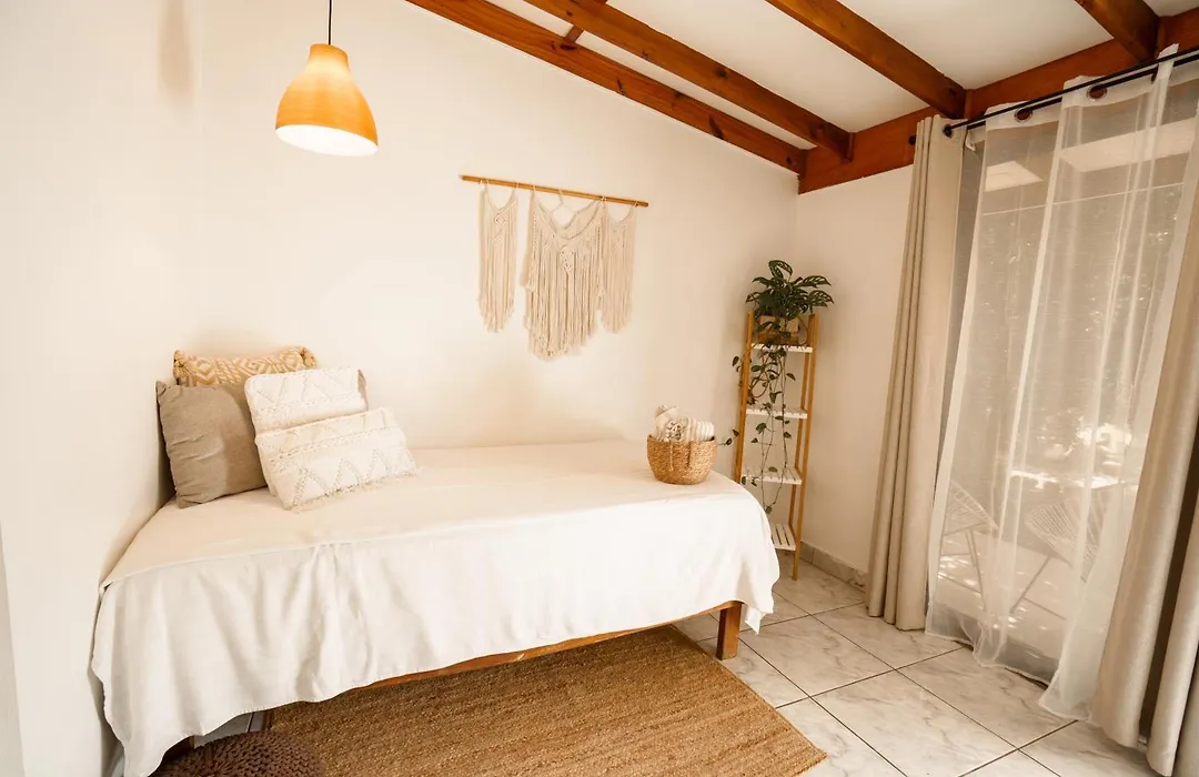 Tribe Boutique Hotel - Adults Only-1