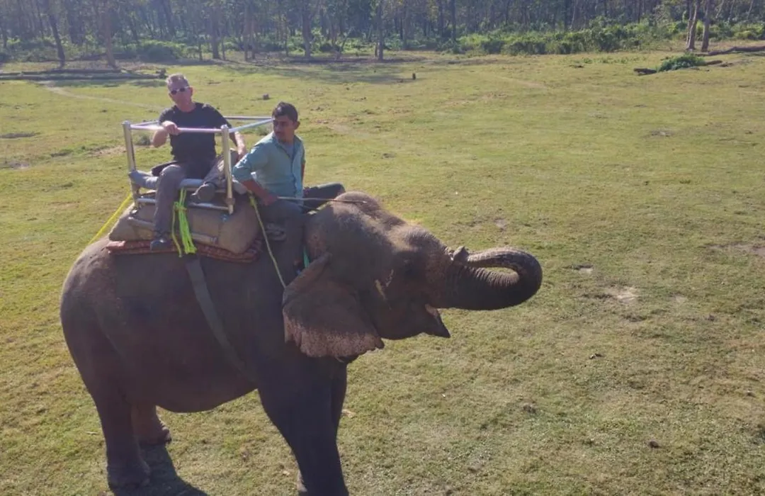 Hotel Tiger'S Den - Peace Homestay -An Exciting Adventurous Park Safari, Arranger-1