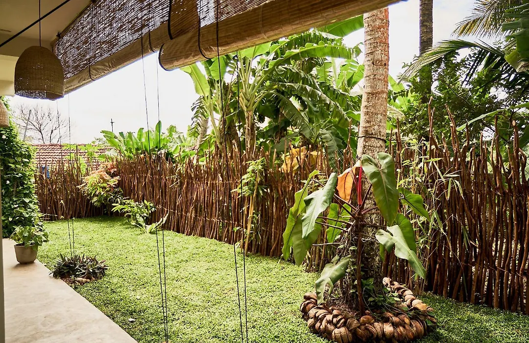 Casa Banana-1