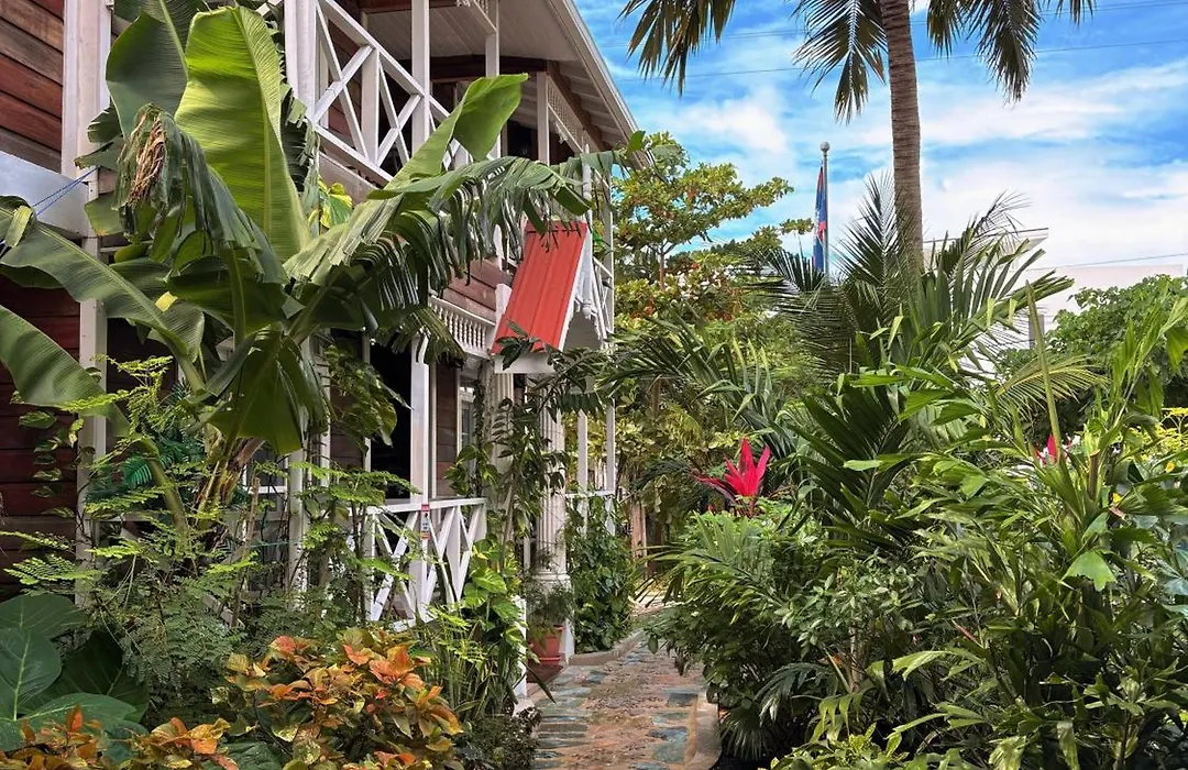 Caye Caulker Boutique Guesthouse 7-1