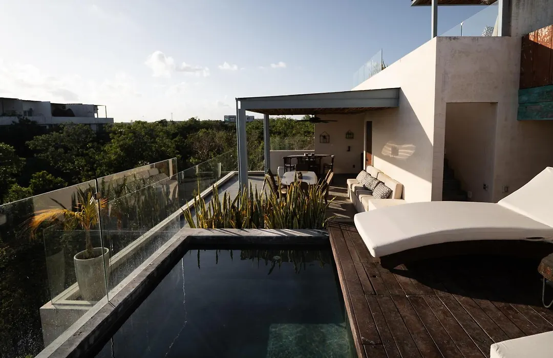 Amazing Penthouse & Apartment With Private Pool, Terrace , Roof Top And Hot Tub In Tulum Jungle-1