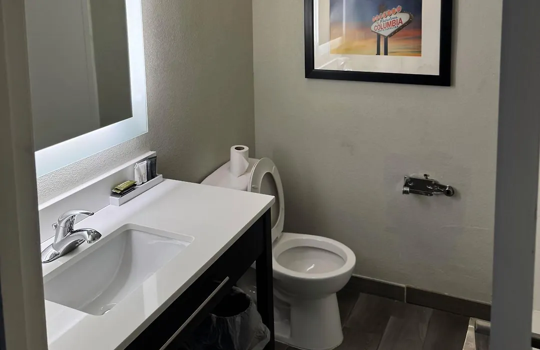 Gallus Stadium Park Inn, An Ascend Collection Hotel-1