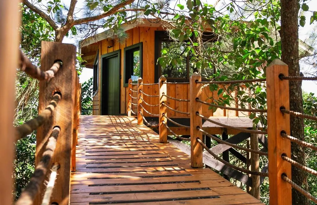 The Grand Forest Jarabacoa-1