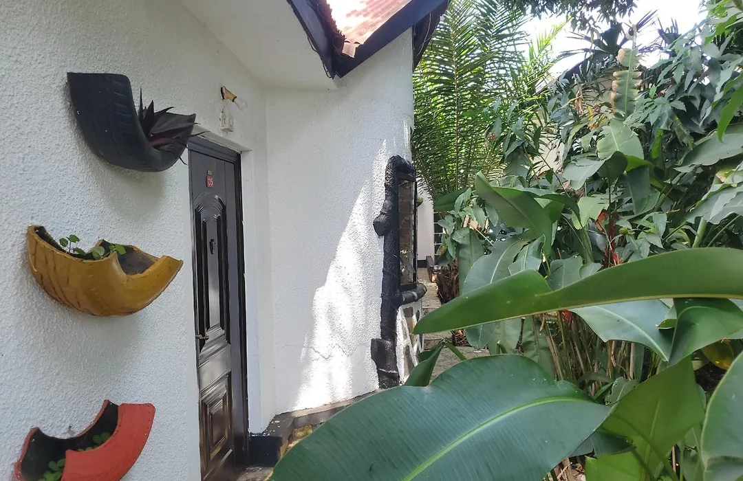 Gorilla Tours And Travel Africa Ltd-1