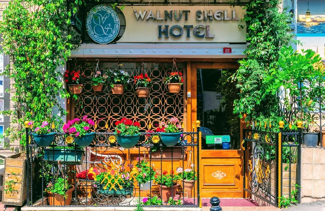 Walnut Shell Hotel-1