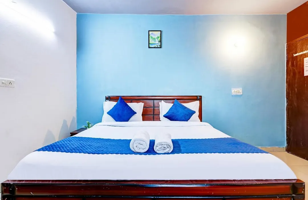 Hotel Royal - Hauz Khas Village Deer Park-1