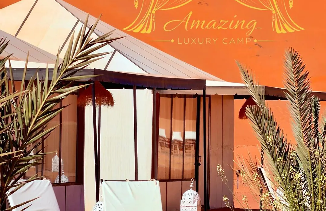 Amazing Luxury Camp-1