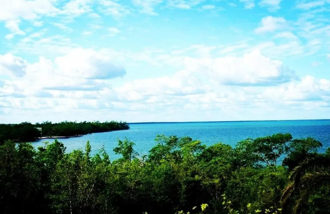 See Belize Sunrise Sea View Studio With Pool & Deck Near Airport, Restaurant, Bar & Casino-1