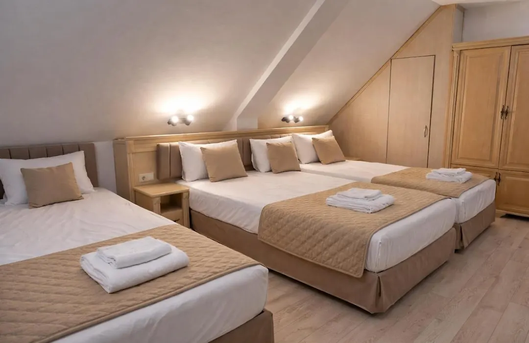 Hotel Aris-1