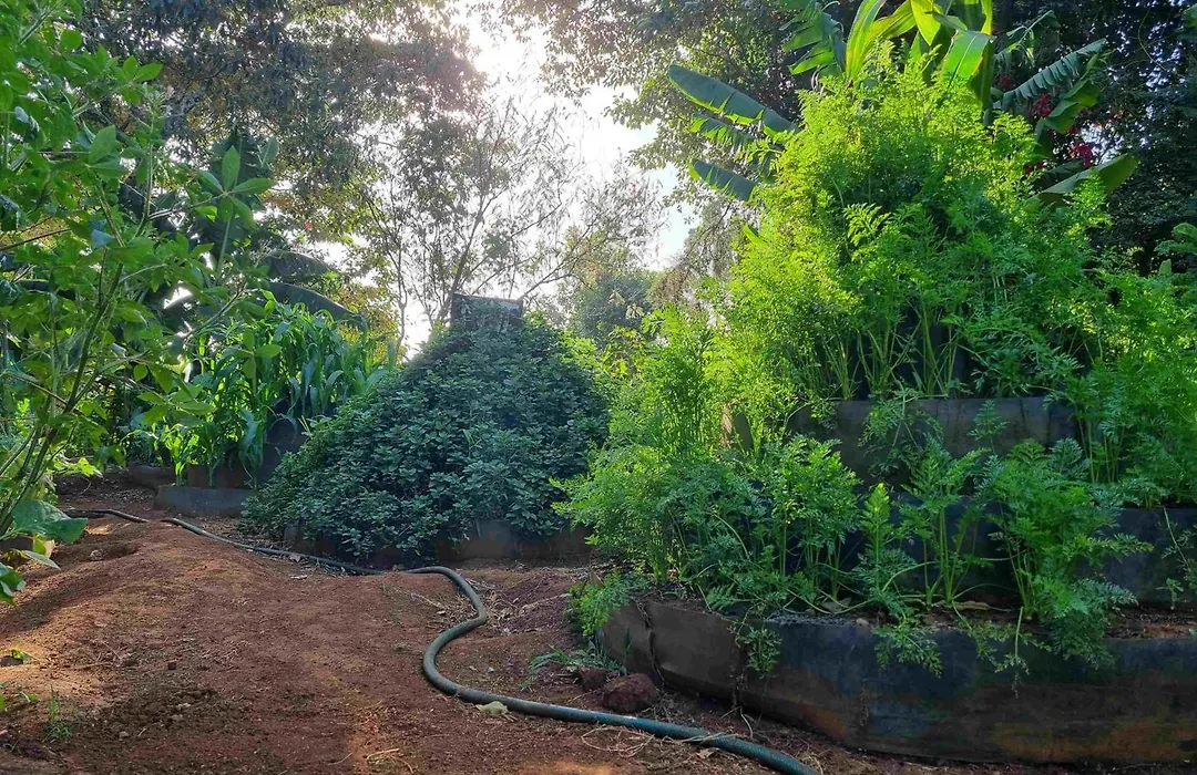 Karen Little Paradise, Eco Garden Hotel & Farm-1