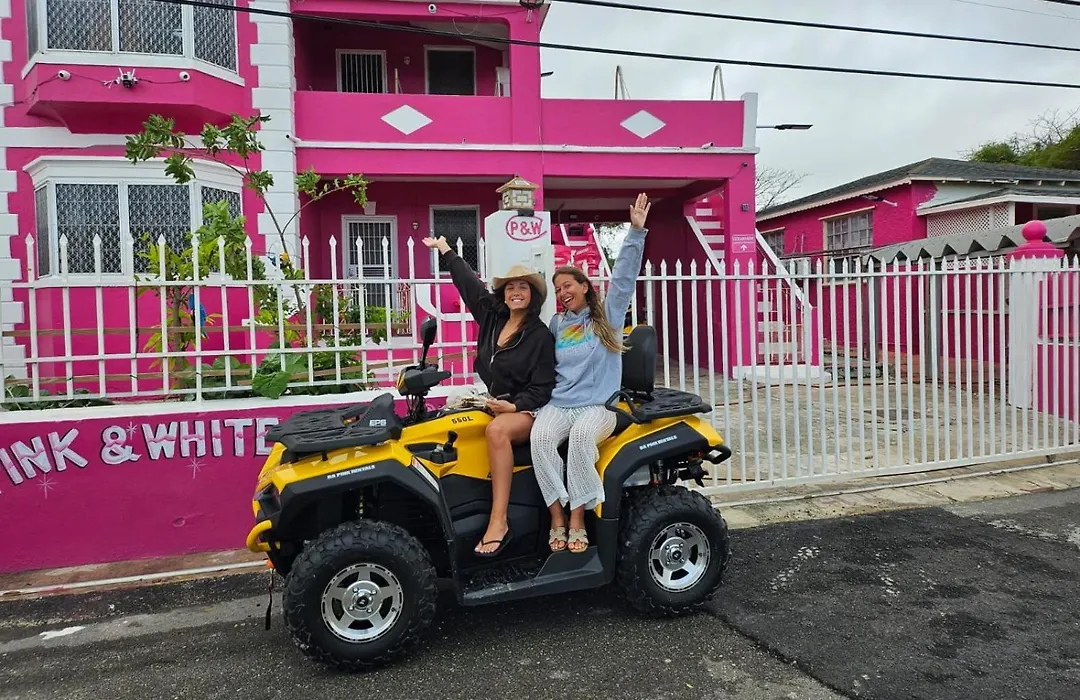 Da Pink And White Palace-1