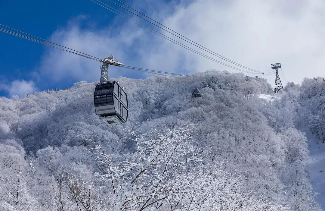 Hirayukan-1