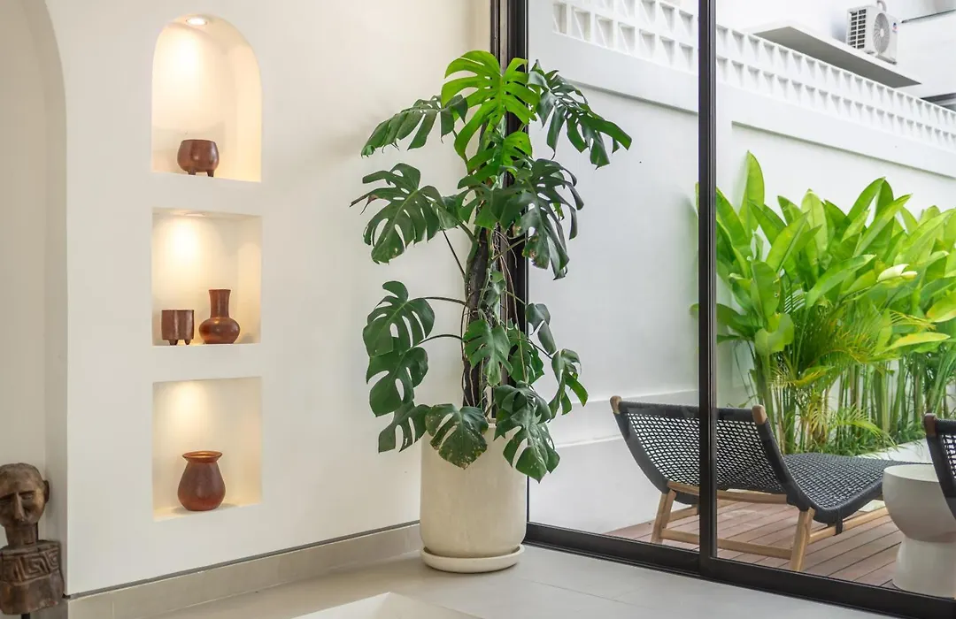 Sanjama - Private Pool Villa With Spacious Outdoor Lounge-1