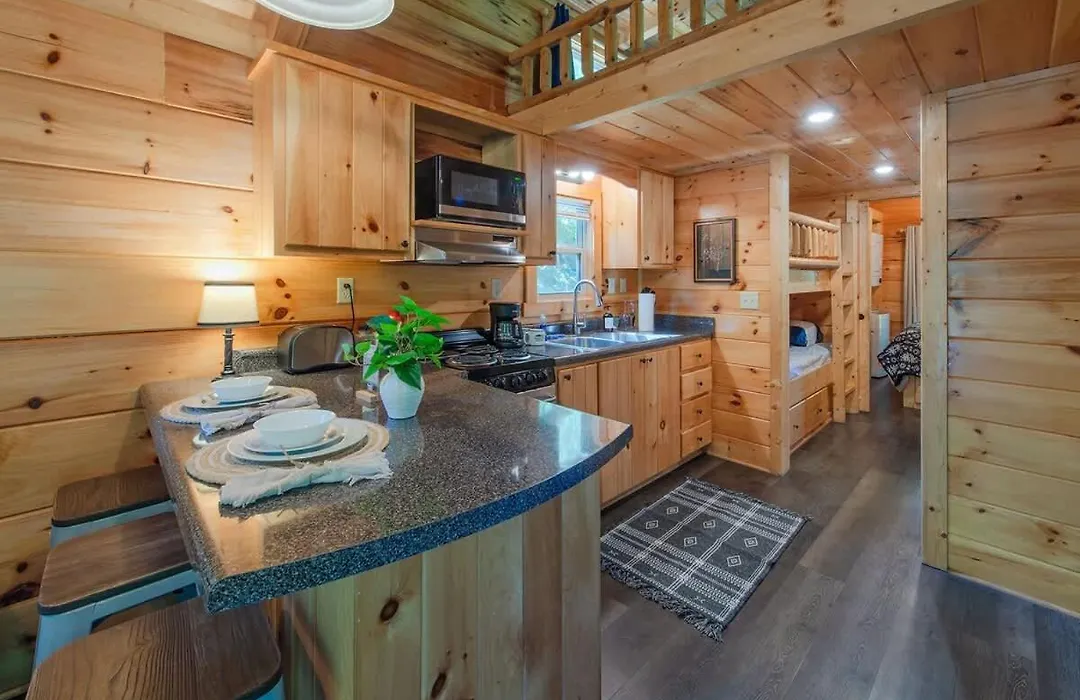 Thomas Cabin Forest Tiny Cabin With Hot Tub-1