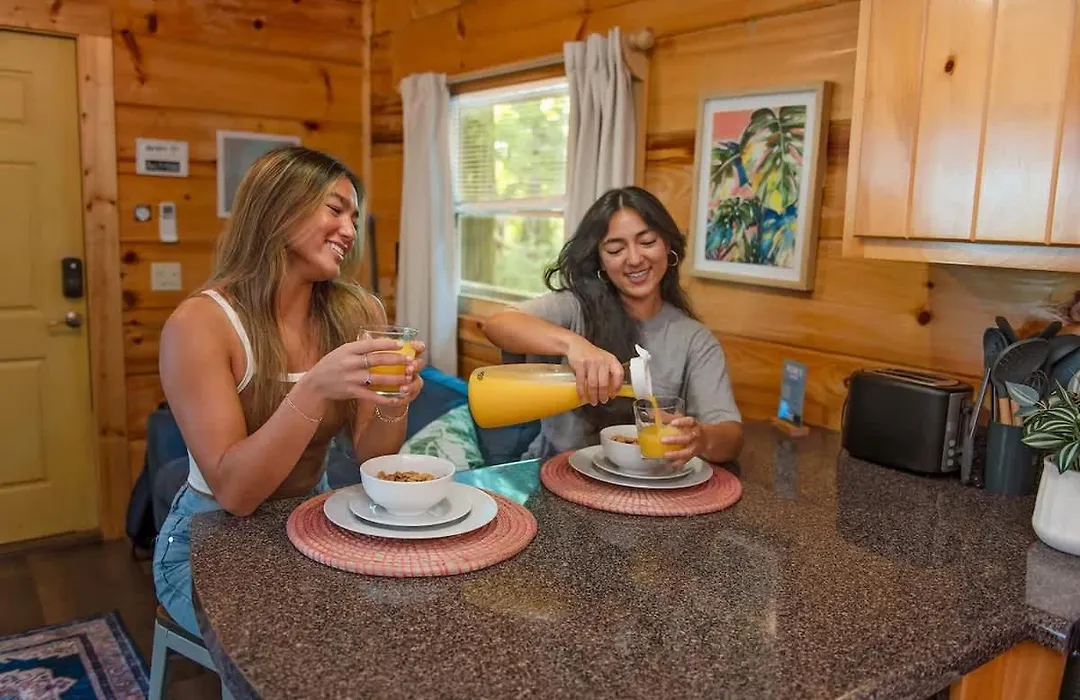 Ani Cabin Tiny Home Bordered By National Forest-1