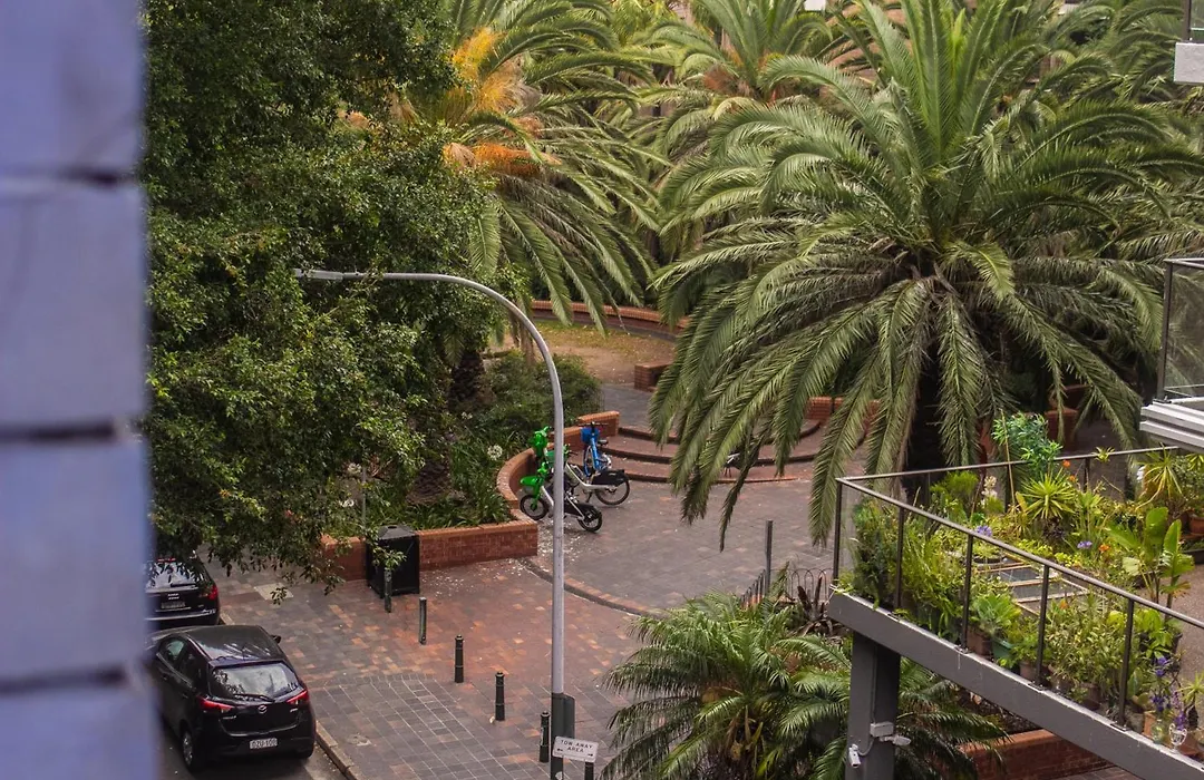 Tequila Sunrise Potts Point-1