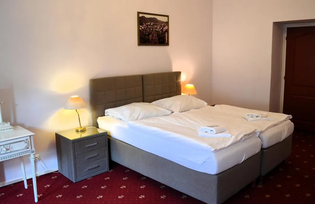 Hotel Palacky-1