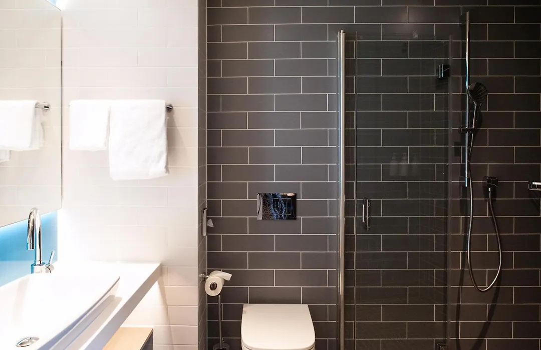 Holiday Inn Express & Suites - Basel - Allschwil By Ihg-1
