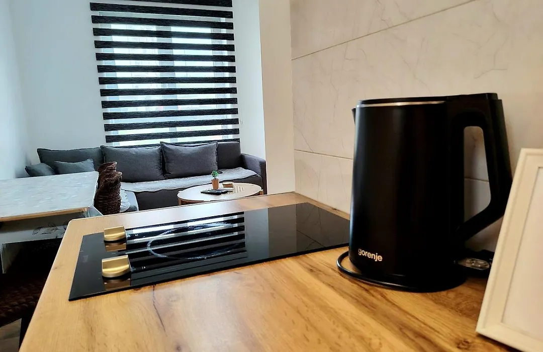 Apartman Ruzica Sokobanja-1