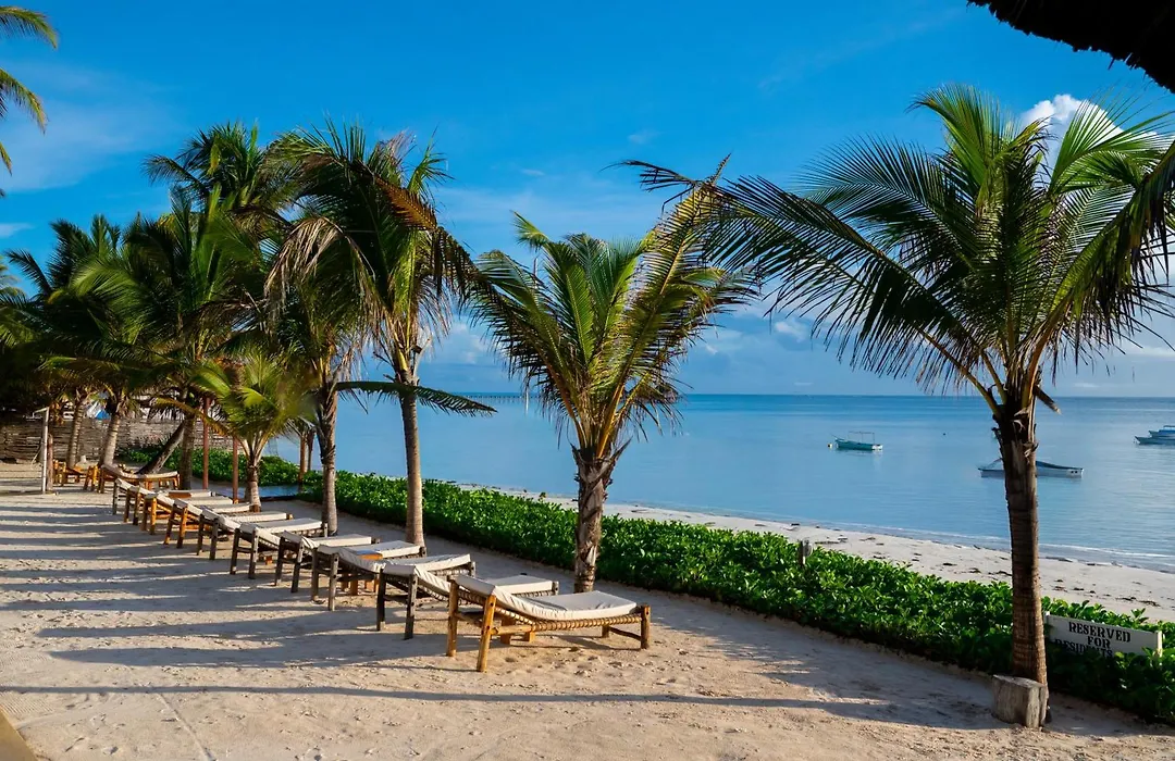 Ocean Boutique Hotel - Adults Only-1