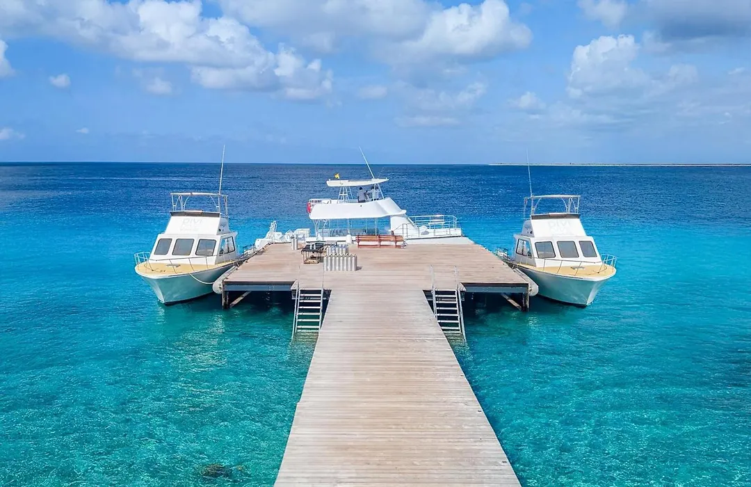 Divi Flamingo Beach Resort-1
