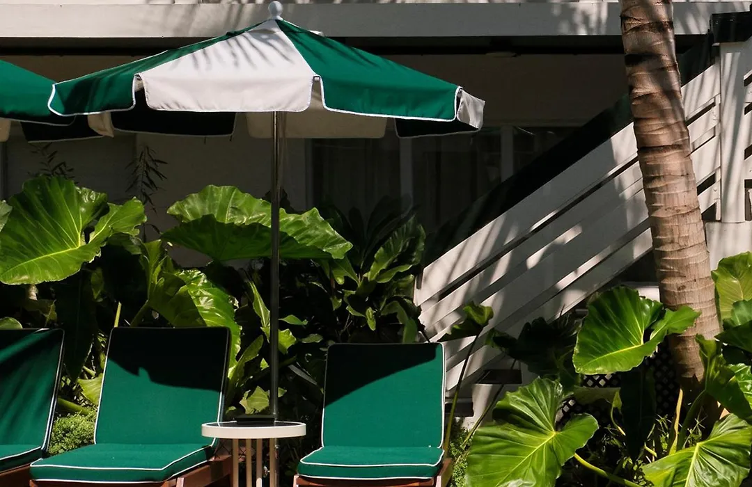 Perroquet Hotel-1
