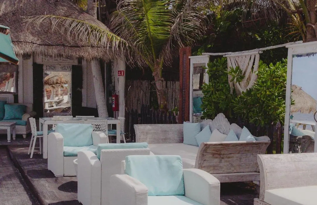 Villa Las Estrellas Tulum - Located At The Party Zone-1