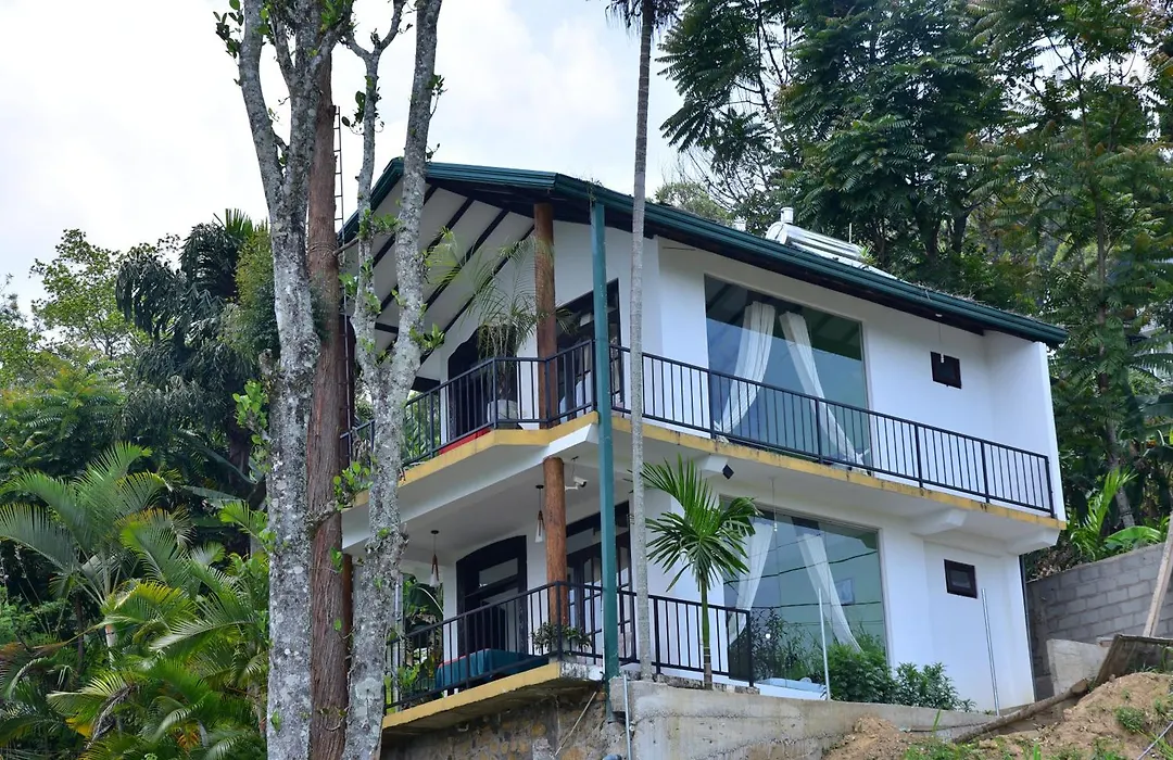 Hill Forest Cottage-1