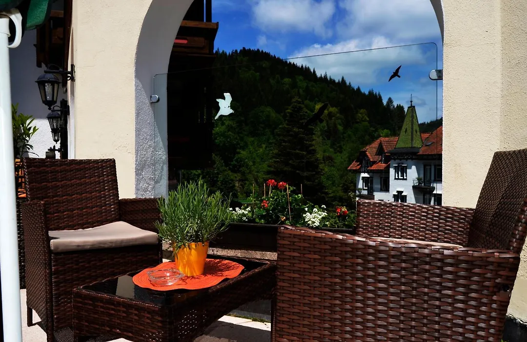 Holzschuhs Schwarzwaldhotel Und Restaurant-1