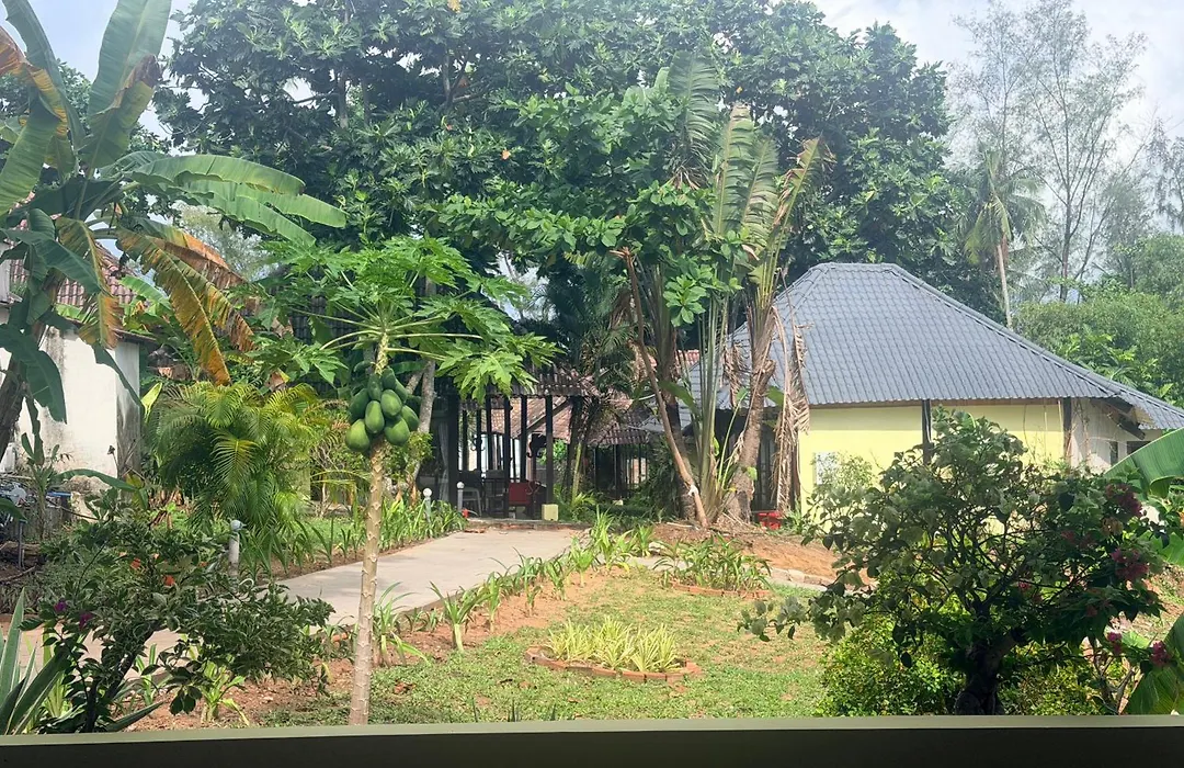 Arcadia Phu Quoc - Bungalow Beach-1