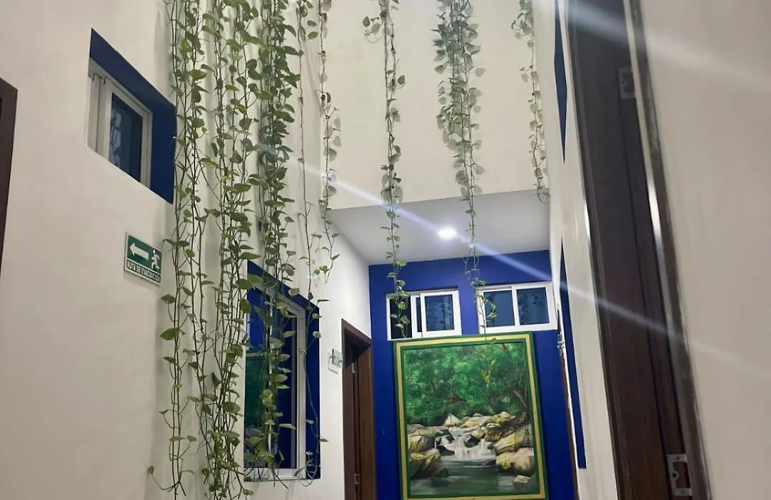 Zafara Hotel-1