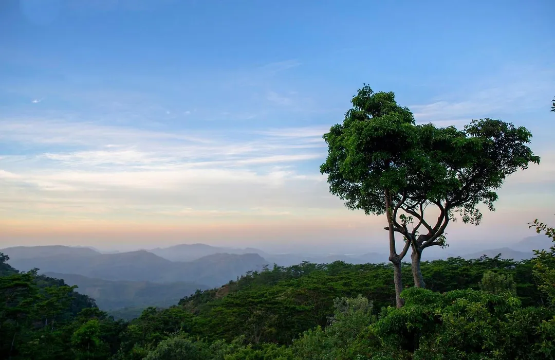 Melheim Resort & Spa Haputale - An Infinite Escape Into The Paradise-1