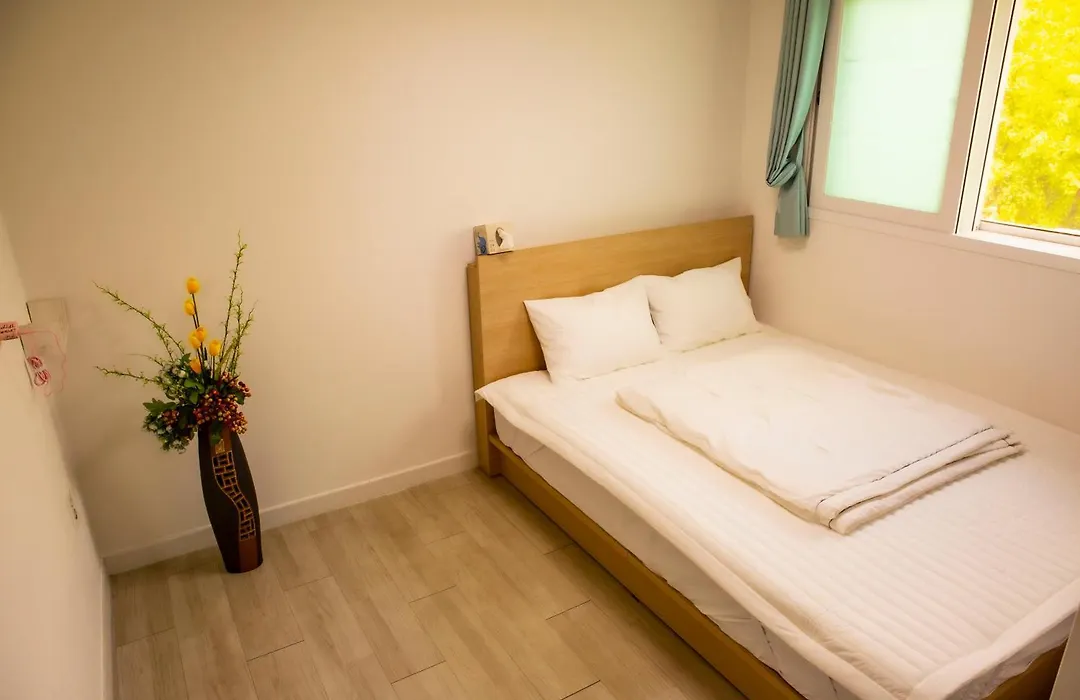 Dreamtrip Guesthouse-1