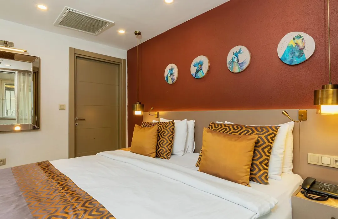Ayramin Deluxe Hotel Taksim-1