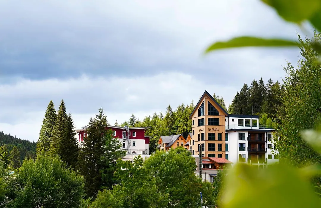 Das Waldhotel - Genuss & Wellness Am Notschreipass-1