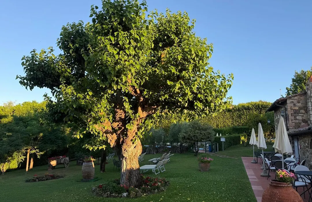 Hotel Colle Etrusco Salivolpi-1