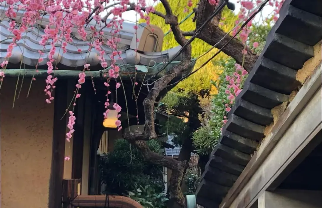 Guesthouse Nara Backpackers-1